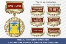 Медаль с гербом города Воскресенска Московской области с бланком удостоверения