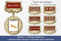 Медаль с гербом города Шадринска Курганской области с бланком удостоверения