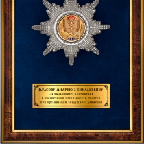 Панно с орденом «50 лет службе авиационной безопасности гражданской авиации»