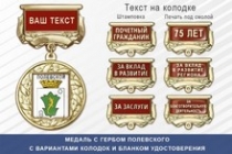 Медаль с гербом города Полевского Свердловской области с бланком удостоверения
