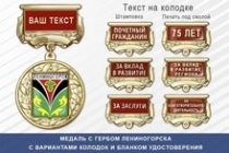 Медаль с гербом города Лениногорска Республики Татарстан с бланком удостоверения