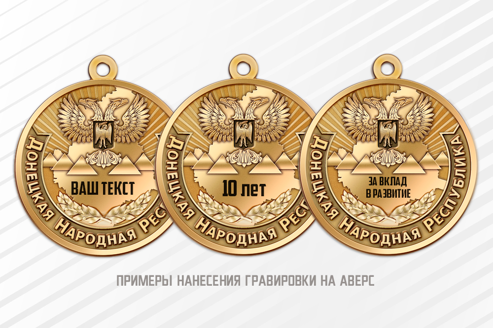 Медаль «Донецкая Народная Республика» с бланком удостоверения, дополнительное фото 1