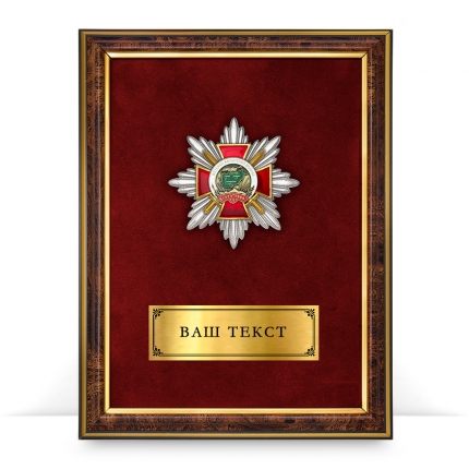 Панно наградное с орденским знаком «Ветерану Афганской войны»