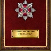 Панно наградное с орденским знаком «Защитнику Отечества» (красный)