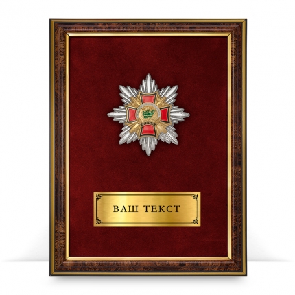 Панно наградное с орденом «Ветеран Афганской войны»