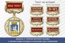 Медаль с гербом города Верхней Пышмы Свердловской области с бланком удостоверения