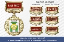 Медаль с гербом города Узловой Тульской области с бланком удостоверения