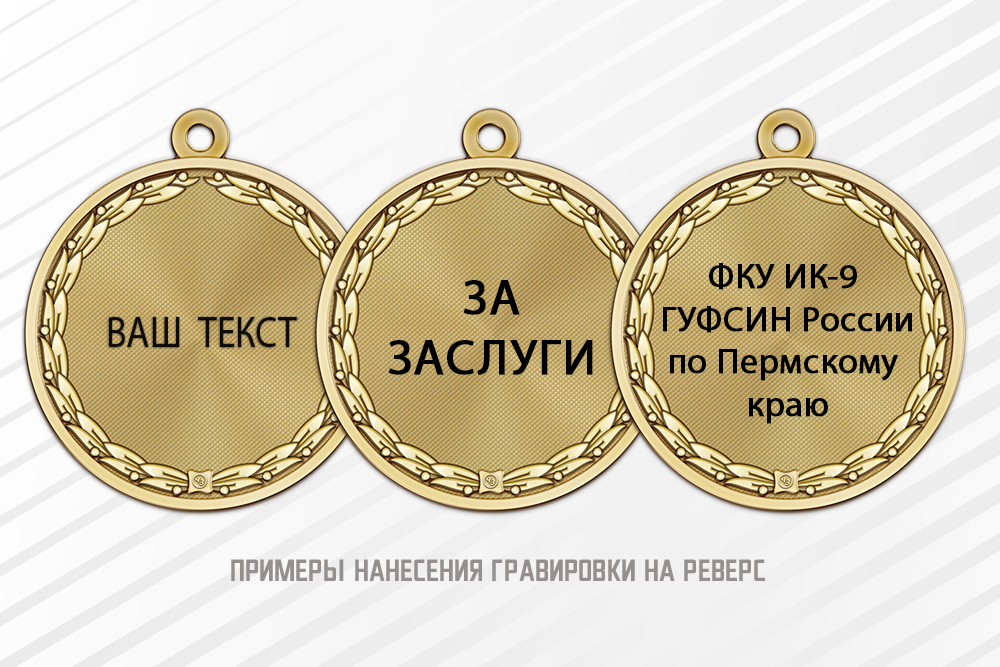 Медаль «195 лет медицинской службе УИС» с бланком удостоверения, дополнительное фото 1