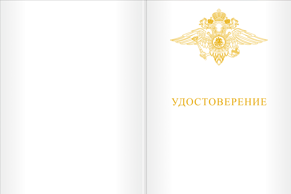 Бланк лицевая сторона Медаль МВД России «За отличие в службе» III степени с бланком удостоверения