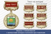 Медаль с гербом города Мысок Кемеровской области с бланком удостоверения