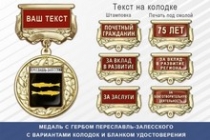 Медаль с гербом города Переславль-Залесского Ярославской области с бланком удостоверения