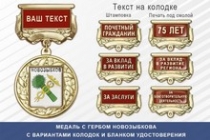 Медаль с гербом города Новозыбкова Брянской области с бланком удостоверения
