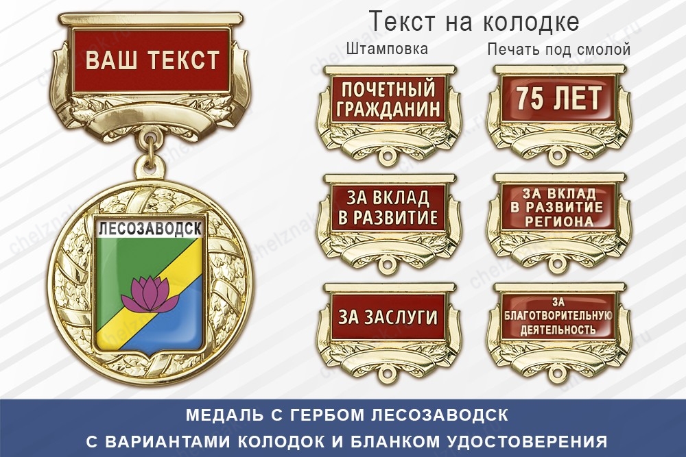 Медаль с гербом города Лесозаводск Приморского края с бланком удостоверения, дополнительное фото 1