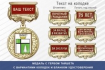 Медаль с гербом города Тайшета Иркутской области с бланком удостоверения