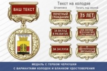 Медаль с гербом города Чернушки Пермского края с бланком удостоверения