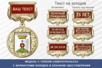 Медаль с гербом города Североуральска Свердловской области с бланком удостоверения