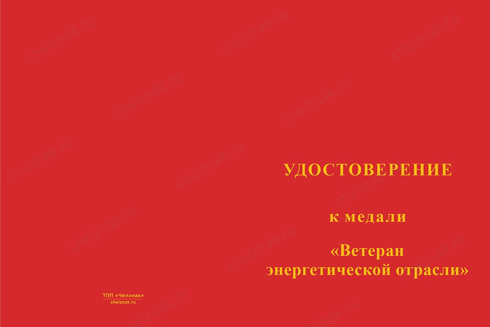 Лицевая сторона награды Медаль «Ветеран энергетической отрасли» с бланком удостоверения