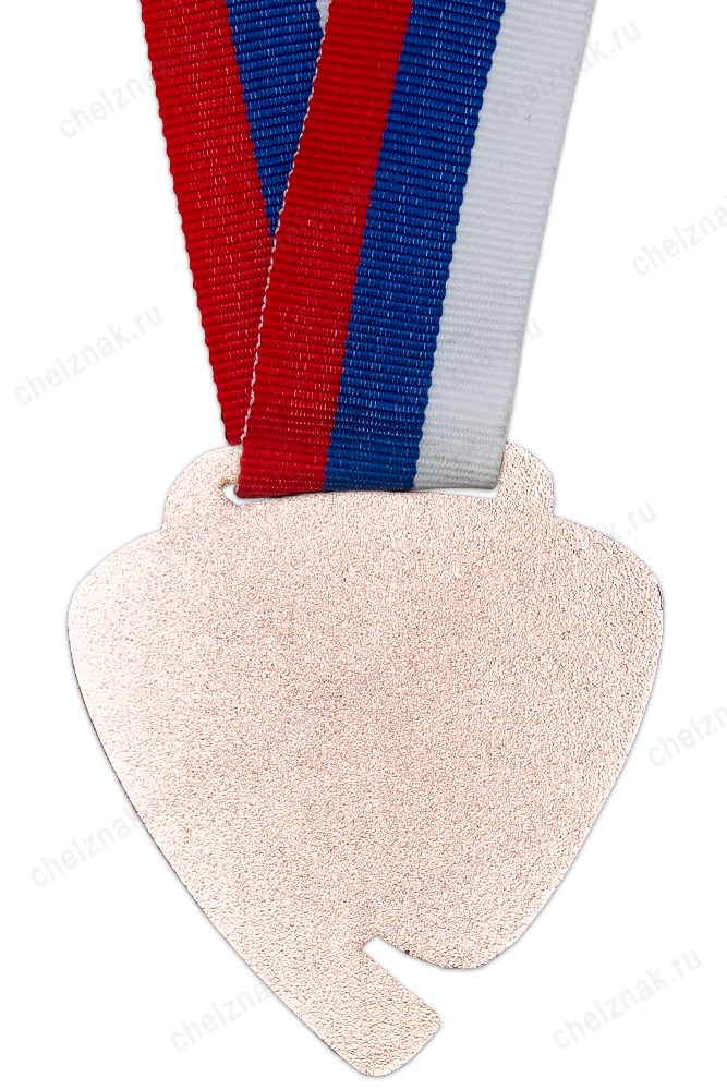 Реверс награды Медаль спортивная, на ленте «Национальная федерация спортинга» III место (бронза)