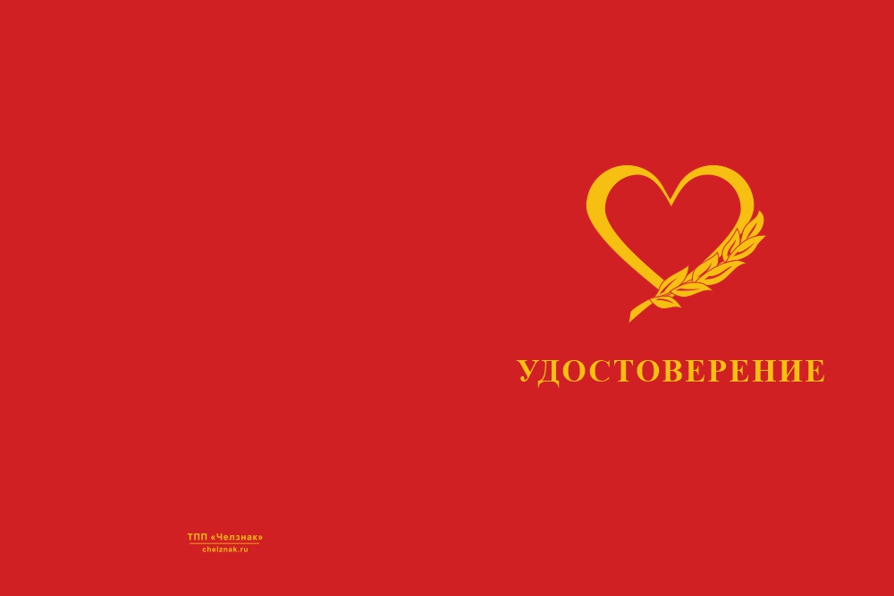 Бланк лицевая сторона Медаль «Женщине участника СВО» с бланком удостоверения