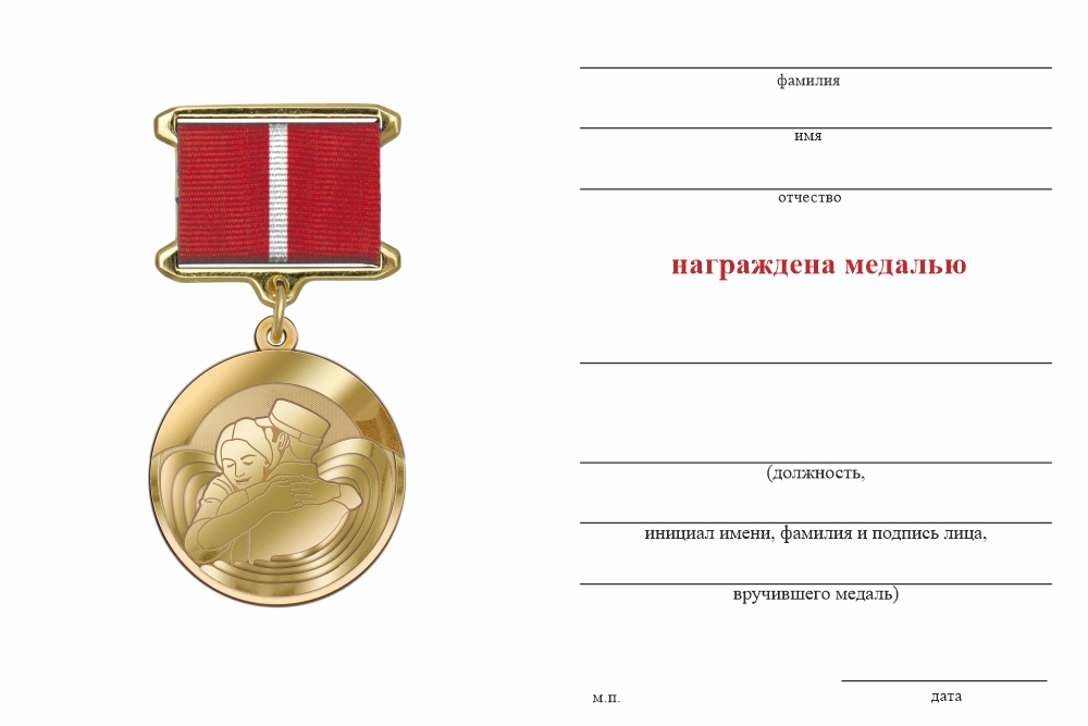 Бланк оборотная сторона Медаль «Женщине участника СВО» с бланком удостоверения