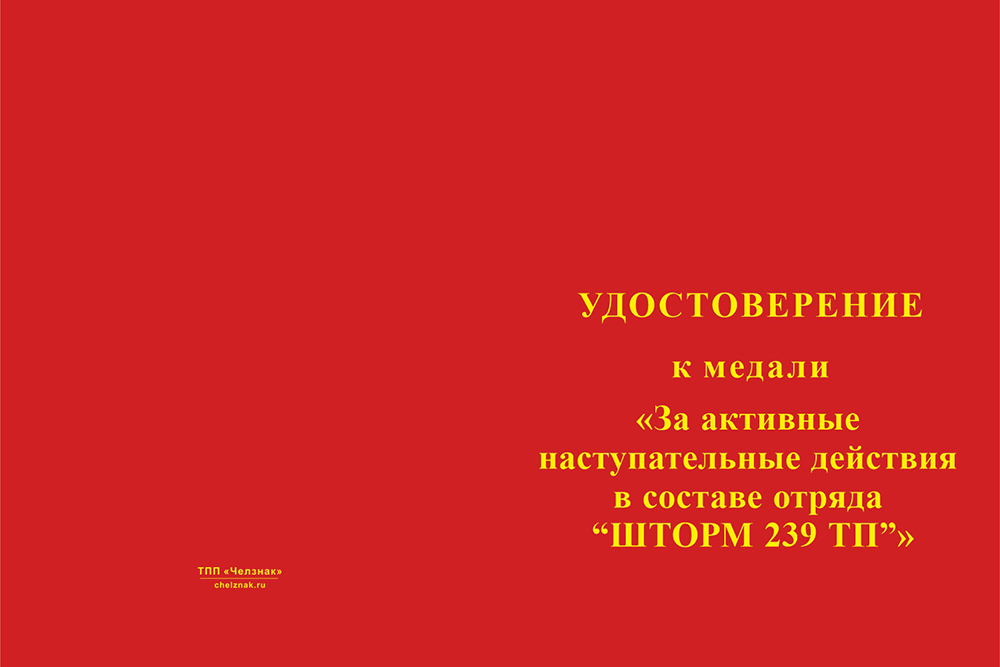 Бланк лицевая сторона Медаль «Отряд "Шторм" 239-й гв. тп»