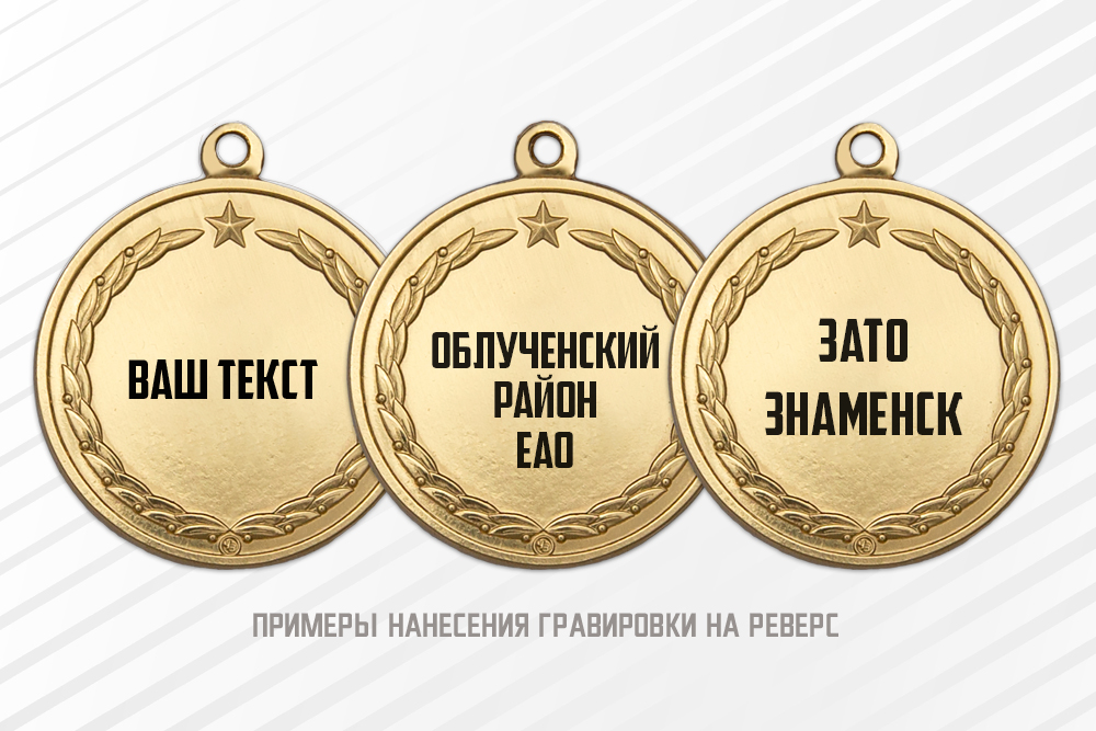 Медаль «За заслуги в юнармейском движении» с индивидуальным реверсом, дополнительное фото 1