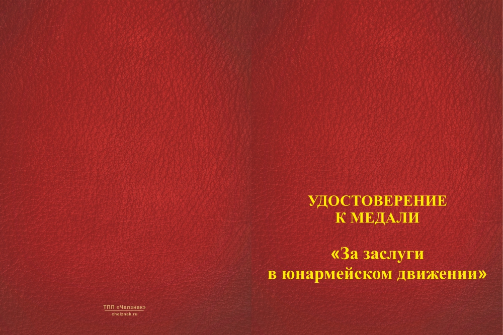 Бланк лицевая сторона Медаль «За заслуги в юнармейском движении» с индивидуальным реверсом