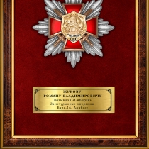 Панно наградное с орденским знаком «Участник СВО»