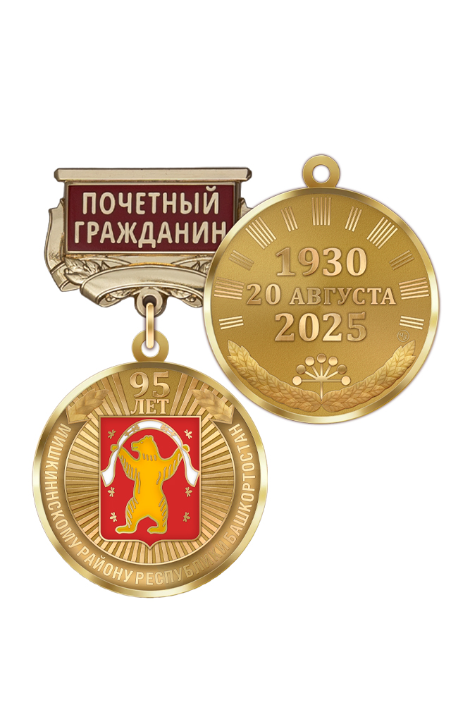 Медаль «95 лет Мишкинскому району Республики Башкортостан. Почётный гражданин» с бланком удостоверения