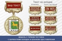 Медаль с гербом города Тогучина Новосибирской области с бланком удостоверения