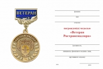 Удостоверение к награде Медаль «Ветеран Ространснадзора» с бланком удостоверения