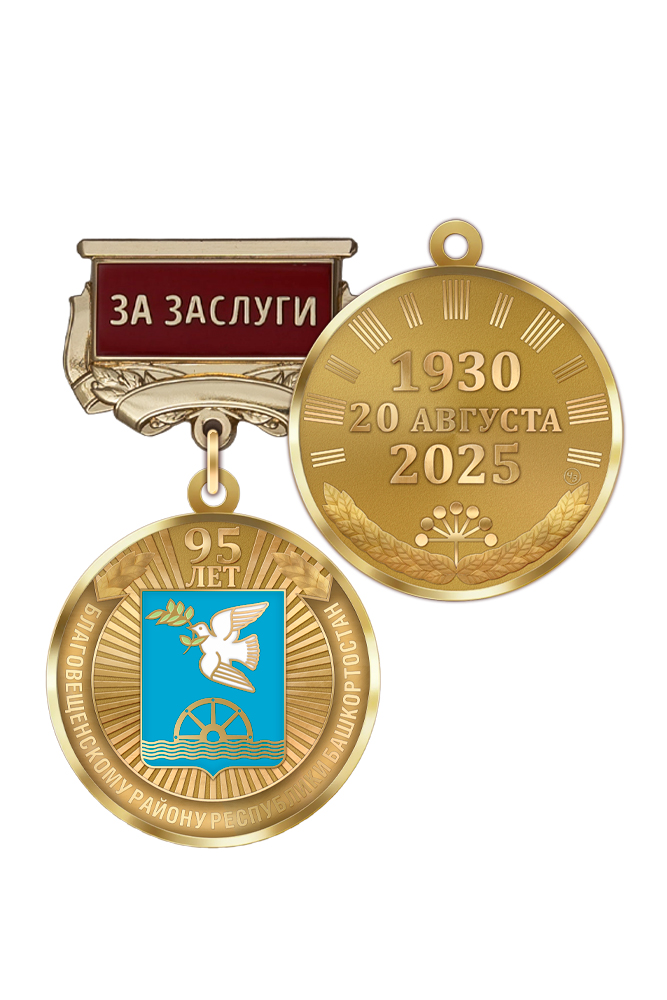 Медаль «95 лет Благовещенскому району Республики Башкортостан. За заслуги» с бланком удостоверения