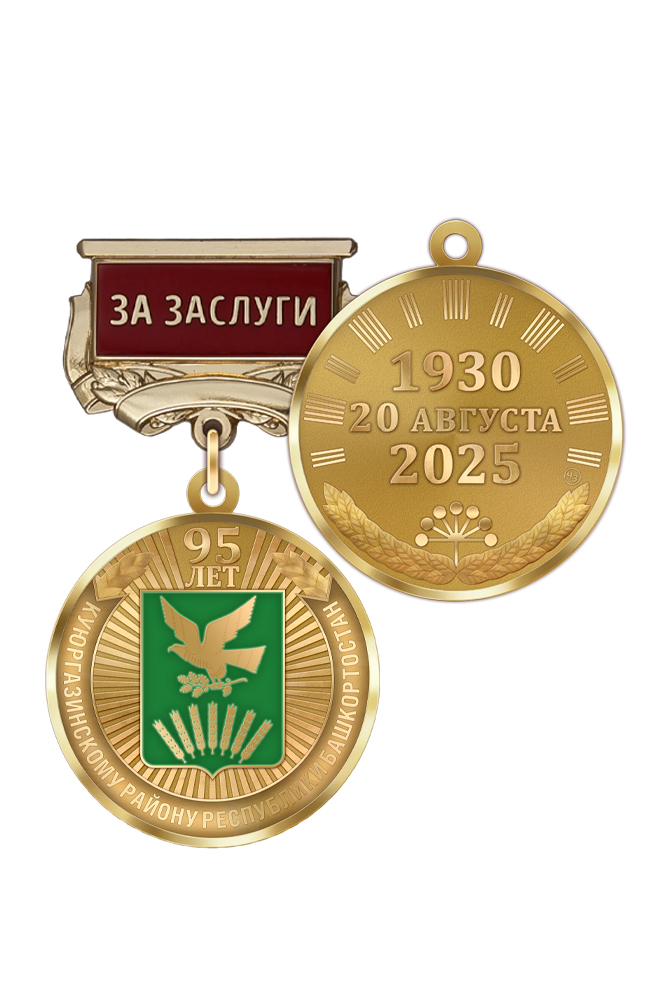 Медаль «95 лет Куюргазинскому району Республики Башкортостан. За заслуги» с бланком удостоверения