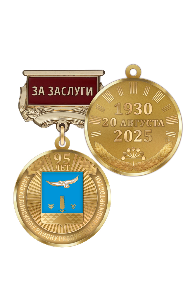 Медаль «95 лет Хайбуллинскому району Республики Башкортостан. За заслуги» с бланком удостоверения