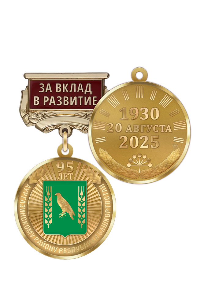 Медаль «95 лет Аургазинскому району Республики Башкортостан. За вклад в развитие» с бланком удостоверения