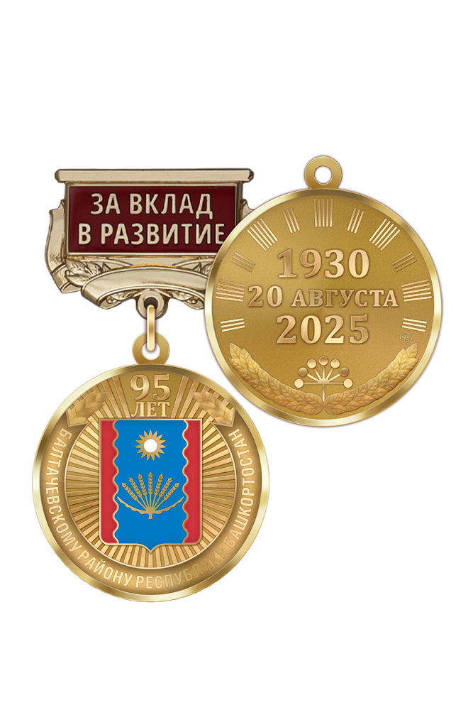 Медаль «95 лет Балтачевскому району Республики Башкортостан. За вклад в развитие» с бланком удостоверения