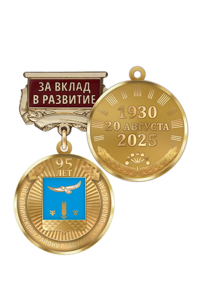 Медаль «95 лет Хайбуллинскому району Республики Башкортостан. За вклад в развитие» с бланком удостоверения