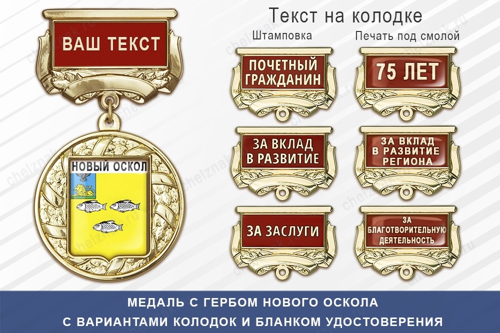 Медаль с гербом города Нового Оскола Белгородской области с бланком удостоверения, дополнительное фото 1