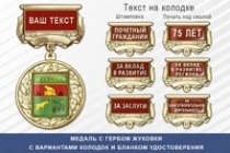 Медаль с гербом города Жуковки Брянской области с бланком удостоверения