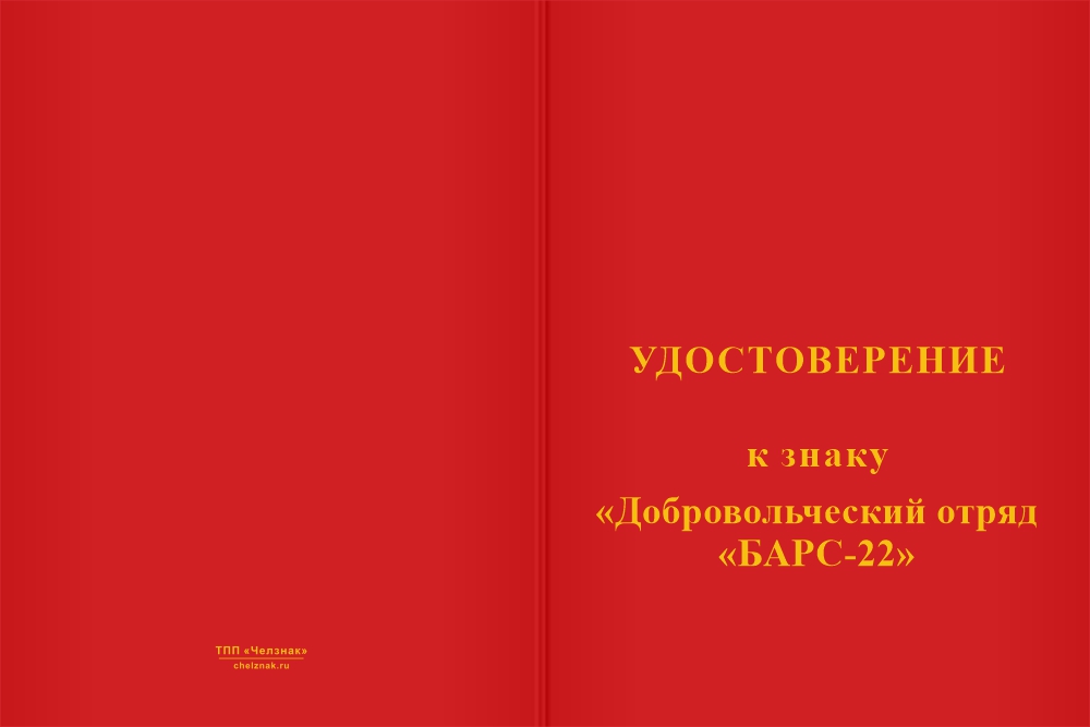 Бланк лицевая сторона Памятный знак «СВО. Барс 22» с бланком удостоверения