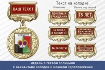 Медаль с гербом города Голицыно Московской области с бланком удостоверения