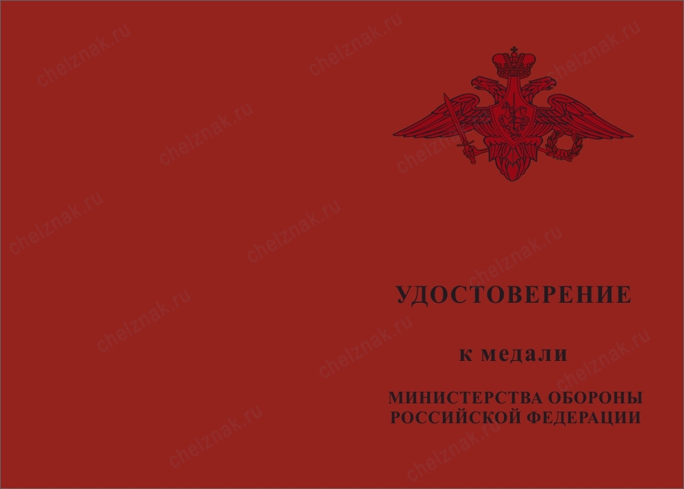 Лицевая сторона награды Медаль МО РФ «Участнику борьбы со стихией на Амуре» с бланком удостоверения