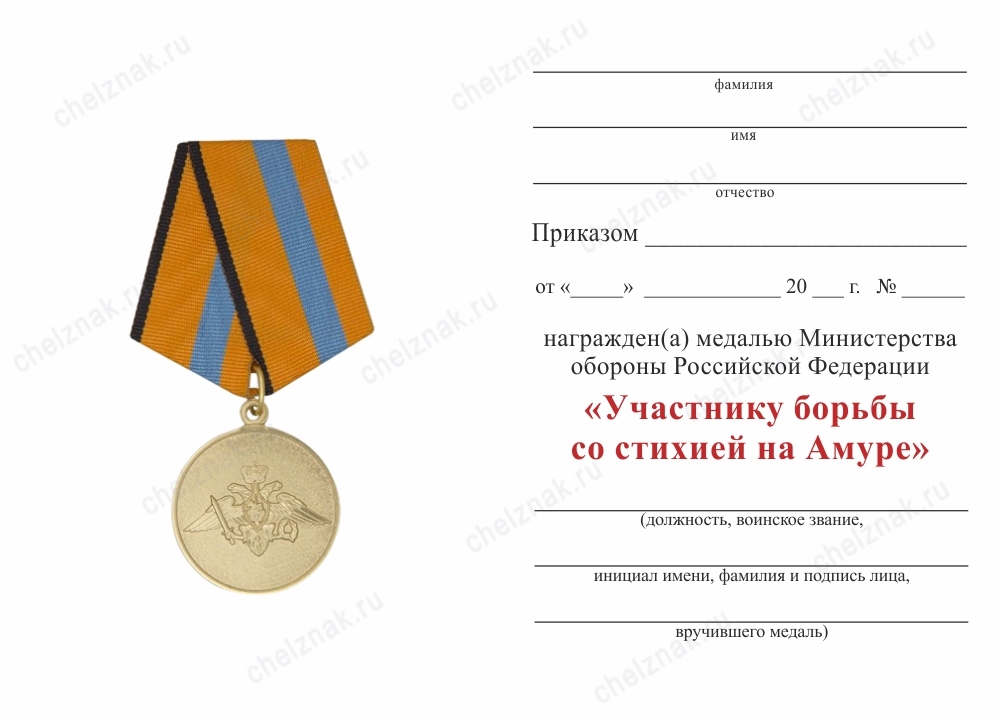Обратная сторона награды Медаль МО РФ «Участнику борьбы со стихией на Амуре» с бланком удостоверения