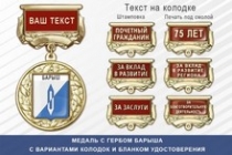 Медаль с гербом города Барыша Ульяновской области с бланком удостоверения