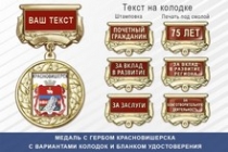 Медаль с гербом города Красновишерска Пермского края с бланком удостоверения