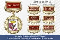 Медаль с гербом города Бокситогорска Ленинградской области с бланком удостоверения