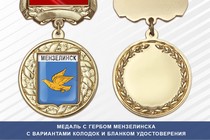 Медаль с гербом города Мензелинска Республики Татарстан с бланком удостоверения