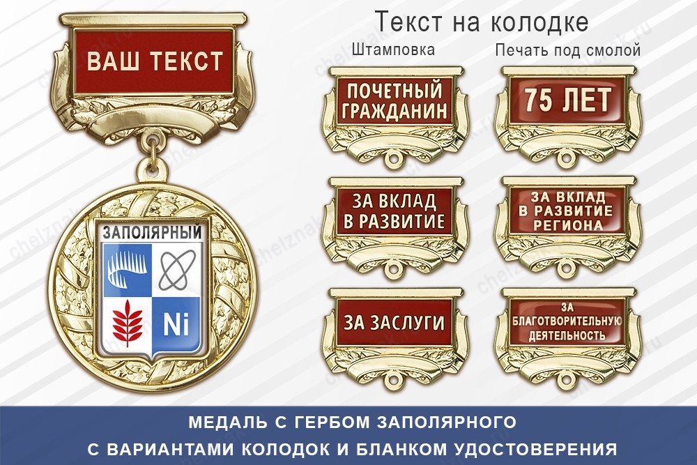 Медаль с гербом города Заполярного Мурманской области с бланком удостоверения, дополнительное фото 1