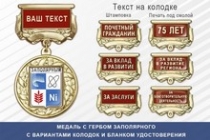 Медаль с гербом города Заполярного Мурманской области с бланком удостоверения