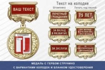 Медаль с гербом города Струнино Владимирской области с бланком удостоверения
